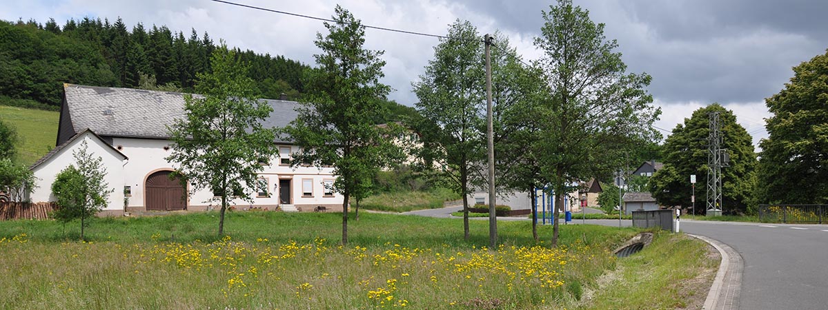 Elchweiler Hunsrück 