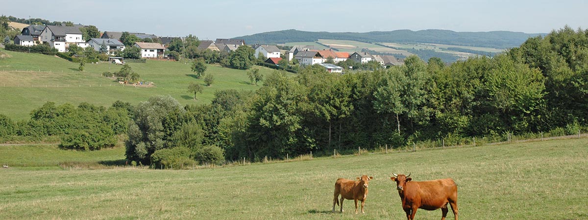 Griebelschied Hunsrück 
