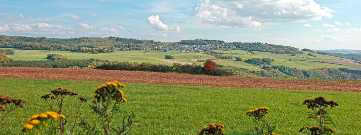 Schneppenbach Hunsrück 